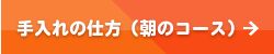 手入れの仕方（朝のコース）